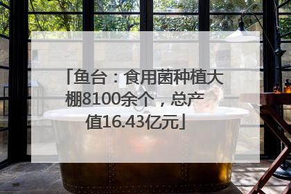 鱼台：食用菌种植大棚8100余个，总产值16.43亿元