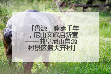 鲁源一脉承千年，尼山文旅启新章——曲阜尼山鲁源村景区盛大开村