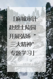 麻城审计赴烈士陵园开展弘扬“三大精神”专题学习