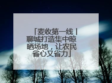 麦收第一线丨聊城打造集中晾晒场地，让农民省心又省力