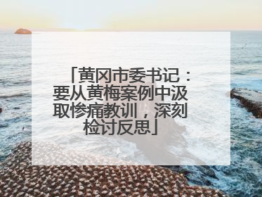 黄冈市委书记：要从黄梅案例中汲取惨痛教训，深刻检讨反思
