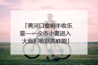 黄河口奏响丰收乐章——全市小麦进入大面积收获高峰期