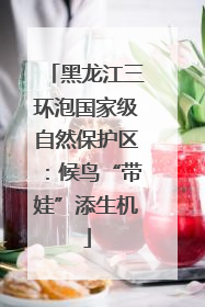 黑龙江三环泡国家级自然保护区：候鸟“带娃”添生机