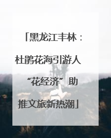黑龙江丰林：杜鹃花海引游人 “花经济”助推文旅新热潮
