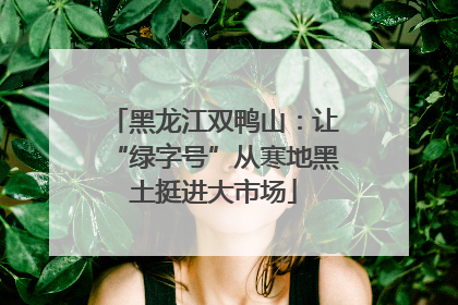 黑龙江双鸭山：让“绿字号”从寒地黑土挺进大市场
