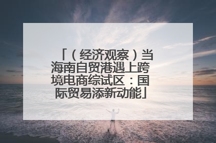 （经济观察）当海南自贸港遇上跨境电商综试区：国际贸易添新动能