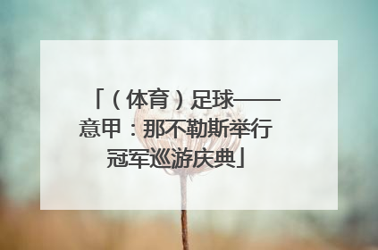 （体育）足球——意甲：那不勒斯举行冠军巡游庆典