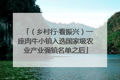 （乡村行·看振兴）一座肉牛小镇入选国家级农业产业强镇名单之后