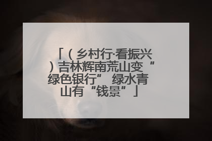 （乡村行·看振兴）吉林辉南荒山变“绿色银行” 绿水青山有“钱景”