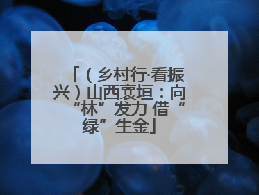 （乡村行·看振兴）山西襄垣：向“林”发力 借“绿”生金