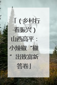 （乡村行·看振兴）山西高平：小辣椒“椒”出致富新答卷