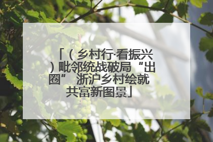 （乡村行·看振兴）毗邻统战破局“出圈” 浙沪乡村绘就共富新图景