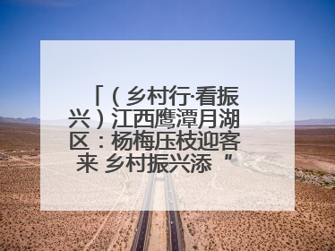 （乡村行·看振兴）江西鹰潭月湖区：杨梅压枝迎客来 乡村振兴添“梅”景