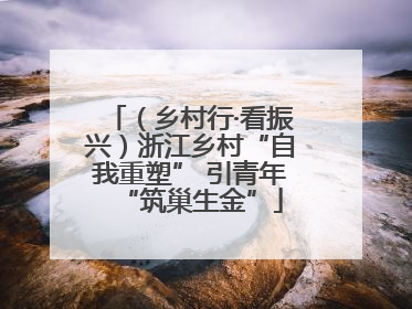 （乡村行·看振兴）浙江乡村“自我重塑” 引青年“筑巢生金”