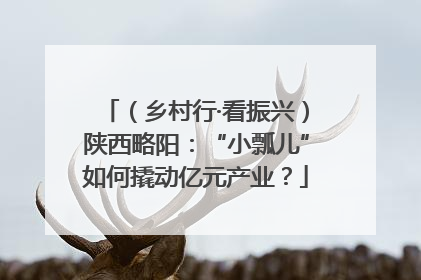 （乡村行·看振兴）陕西略阳：“小瓢儿”如何撬动亿元产业？