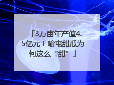 3万亩年产值4.5亿元！喻屯甜瓜为何这么“甜”