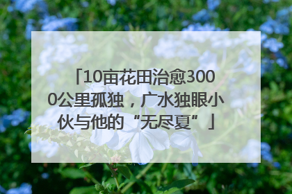 10亩花田治愈3000公里孤独，广水独眼小伙与他的“无尽夏”