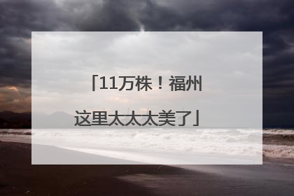 11万株！福州这里太太太美了