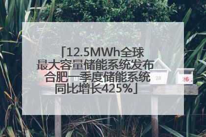 12.5MWh全球最大容量储能系统发布 合肥一季度储能系统同比增长425%
