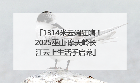1314米云端狂嗨！2025巫山·摩天岭长江云上生活季启幕