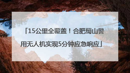 15公里全覆盖！合肥蜀山警用无人机实现5分钟应急响应