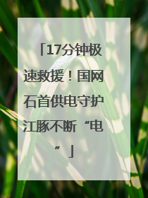 17分钟极速救援！国网石首供电守护江豚不断“电”