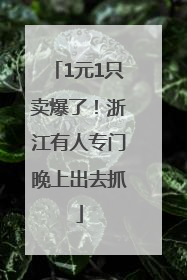 1元1只卖爆了！浙江有人专门晚上出去抓