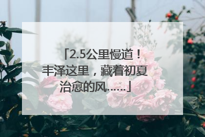 2.5公里慢道！丰泽这里，藏着初夏治愈的风……
