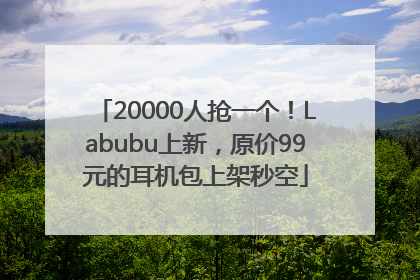 20000人抢一个！Labubu上新，原价99元的耳机包上架秒空