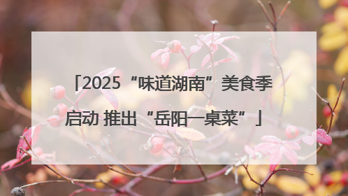 2025“味道湖南”美食季启动 推出“岳阳一桌菜”