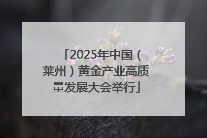 2025年中国（莱州）黄金产业高质量发展大会举行