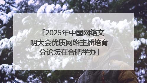 2025年中国网络文明大会优质网络主播培育分论坛在合肥举办