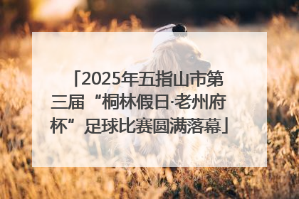 2025年五指山市第三届“桐林假日·老州府杯”足球比赛圆满落幕