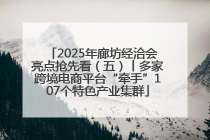 2025年廊坊经洽会亮点抢先看（五）丨多家跨境电商平台“牵手”107个特色产业集群