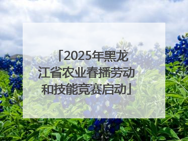 2025年黑龙江省农业春播劳动和技能竞赛启动