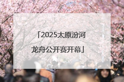 2025太原汾河龙舟公开赛开幕
