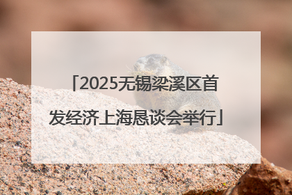 2025无锡梁溪区首发经济上海恳谈会举行