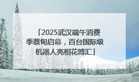 2025武汉端午消费季蔡甸启幕，百台国际级机器人亮相花博汇