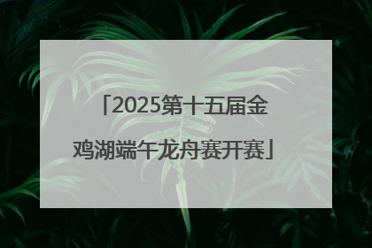 2025第十五届金鸡湖端午龙舟赛开赛