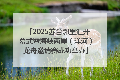 2025苏台邻里汇开幕式暨海峡两岸（洋河）龙舟邀请赛成功举办