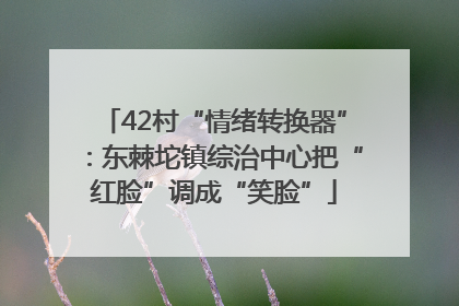 42村“情绪转换器”：东棘坨镇综治中心把“红脸”调成“笑脸”