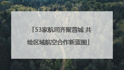 53家航司齐聚蓉城 共绘区域航空合作新蓝图
