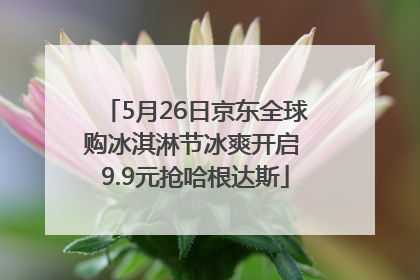 5月26日京东全球购冰淇淋节冰爽开启 9.9元抢哈根达斯