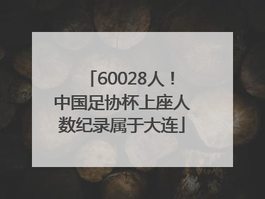 60028人！中国足协杯上座人数纪录属于大连