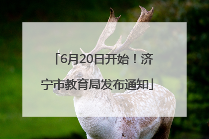 6月20日开始！济宁市教育局发布通知