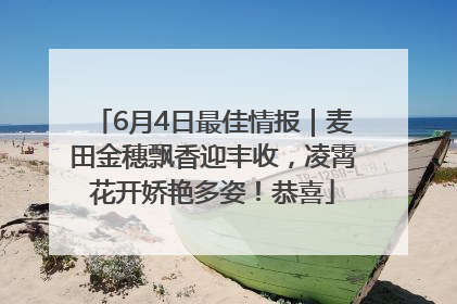 6月4日最佳情报｜麦田金穗飘香迎丰收，凌霄花开娇艳多姿！恭喜