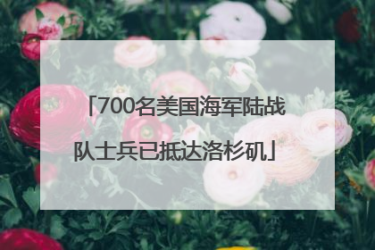700名美国海军陆战队士兵已抵达洛杉矶