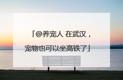 @养宠人 在武汉，宠物也可以坐高铁了