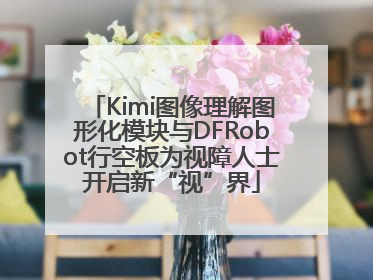 Kimi图像理解图形化模块与DFRobot行空板为视障人士开启新“视”界