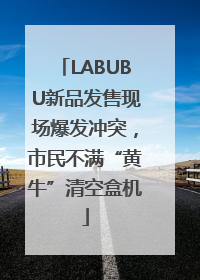 LABUBU新品发售现场爆发冲突，市民不满“黄牛”清空盒机